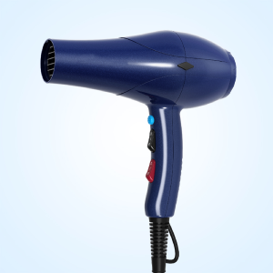 High Power 2500w Best Ceramic Blow Dryer Fast Drying Hand Blow Hair Dryer with Overheat Protection