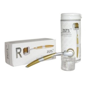 Most Popular Real Titanium Needles ZGTS 192 Derma Roller price