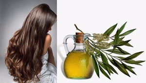 OEM/ODM Private Label Tea Tree Oil 100% Pure  For Shampoo