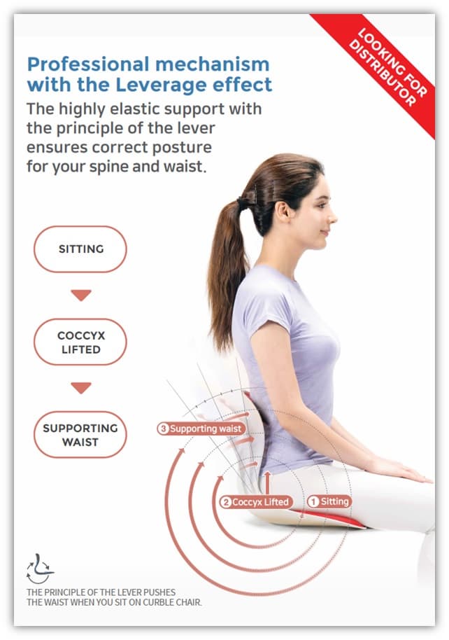Posture Corrector Chair Curble WIDER