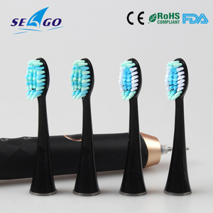 Toothbrush Head with High Quality Dupont Bristle for Electric Toothbrush