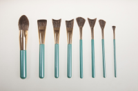 OEM High Quality 8pcs Brush Set