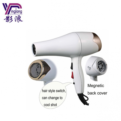 Professional styling hair salon AC motor blowing hair dryer 8620