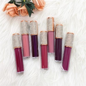 88 Colors Lipgloss Makeup Diamonds Tube Lip Gloss Base Lipgloss Free Sample Lip Gloss