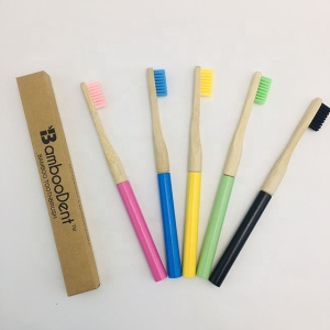 Biodegradable replaceable head bamboo adult toothbrush