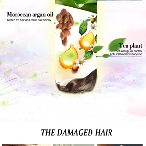 Delofil Wholesale Treatment  Natural Moroccan Argan Oil organic Protein Hair Shampoo