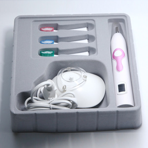 Dental Care Oral Hygiene 110-240V Toothbrush Electric China