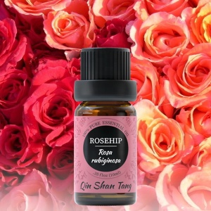 OEM ODM Supplier Private Label Wholesale 10ml Natural 100% Pure Massage Body Rose Essential Oil