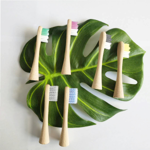 OEM Toothbrush Heads Bamboo Charcoal Eco Toothbrush Heads with Best Price