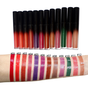 VMAE Wholesale Customized Label Cheap Price High Pigment Lip gloss 12 Colors Liquid Lipstick For Makeup Velvet Labial Glair