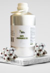 Cape Chamomile Oil