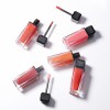 Factory Wholesale Lip Makeup Cosmetics Set  Lip Glaz  Lipgloss Liquid Lipstick