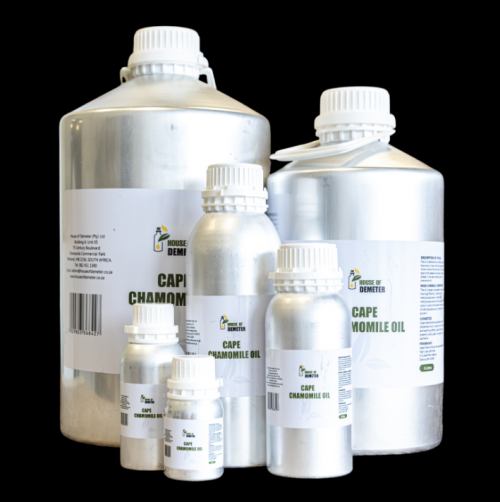Cape Chamomile Oil