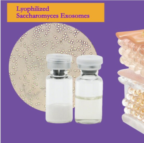 Lyophilized Saccharomyces Cerevisiae Exosomes