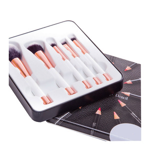 5 pcs Beauty Cosmetics Makeup Brushes for Travel OEM Makeup Brush Set with Tin Box