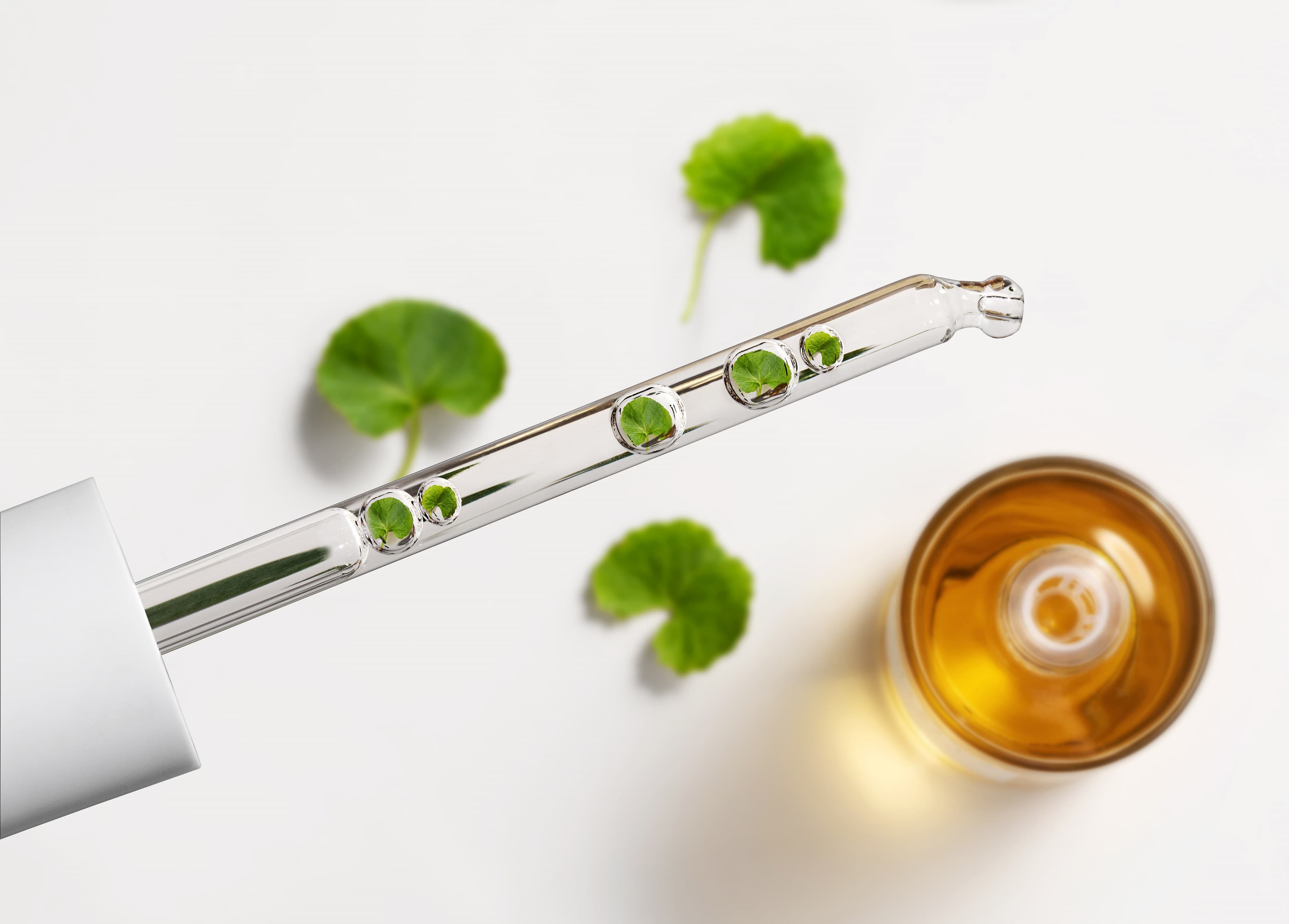 Centella Asiatica Serum