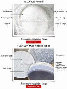 Factory Manufacturer Supply Bathing Pool Chemical Powder Tcca 90%