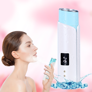 Personal home use usb rechargeable ionic nanocare facial steamer