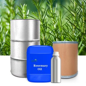 Pure Natural Rosemary Essential Oil Aromatherapy Oil OEM/OBM