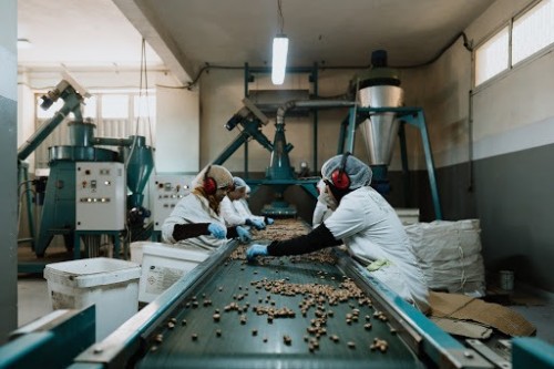 Leading Of The Argan Oil Producer In Morocco