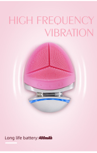 2019 Wholesale Home Beauty Electric Waterproof Facial Massager Silicone Facial Cleaning Brush in Pink/Blue/Green