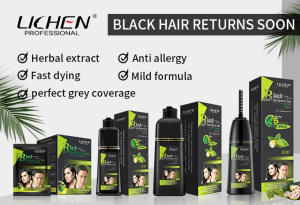 2021 Brand New Hair Color Non Allergic Natural Herbal Ginseng Noni Extract Black Hair Dye Shampoo in Stock