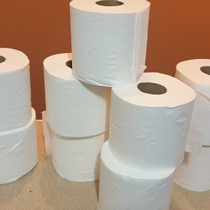 Best selling price  2 ply, 3 ply toilet tissue/napkin paper parents rolls for sale