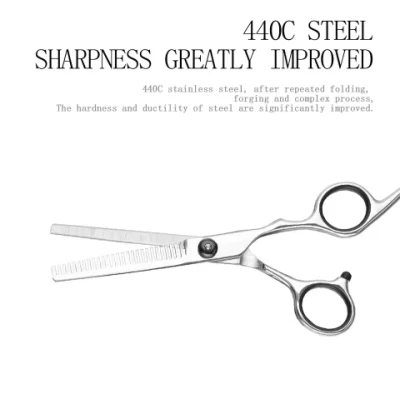 Custom 9cr13 Material 6.0 Inch Silver Gasket Beauty Flat Scissor Fashion Design Barber Scissors