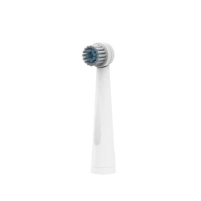 Customizable OEM&ODM Round Toothbrush Head Ipx7 Waterproof Rotating Electric Toothbrush