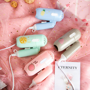 Mini Portable Hair dryer, 2-Speed Energy-Saving Folding Electric Hair Dryer With Collecting Nozzle Low Noise Hair dryer