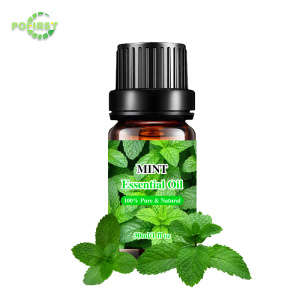Oem Natural Plant Extract Skin Firming And Tightening Anti Cellulite Body Massage Oil Tea Tree Essential Oil