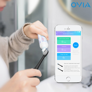 Oral Hygiene Electric Toothbrush USB Charging Intelligent OEM Adult Smart Sonic Toothbrush IPX7 Automatic Dental Toothbrush