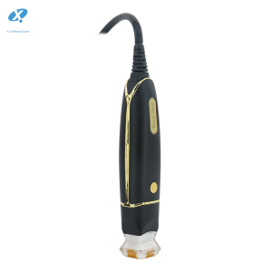 portable rf machine Multifunctional Radio Frequency Facial Skin Aesthetic Equipment