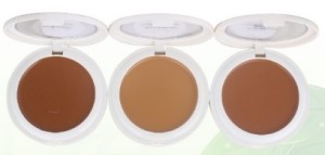 Private Label Wet Compact Powder Press Wholesales Makeup Foundation Face Powder