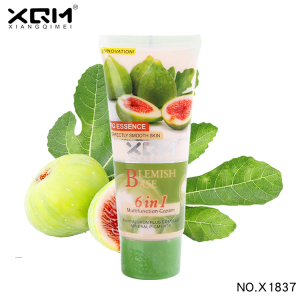 Spot own brand moisturizing guava flavor BB cream GMPC certification