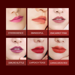 Waterproof Your Own Logo Private Label Wholesale Best Selling Matte Lip Gloss Liquid Lipgloss