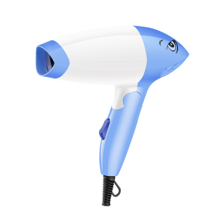 Wholesale AC DC Motor Salon Equipment Hair Blow Dryers Professional Household Portable Ionic Foldable Hair dryer