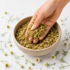 premium dried chamomile flowers from morocco