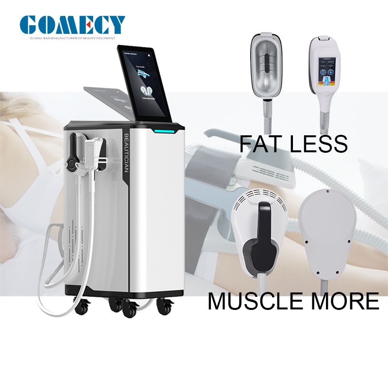 2022 New Technology Cryolipolisis 360 cryolipolysis body slimming cryo device cryotherapy combinated with hi-emt for muscles building