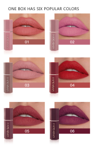 HANDAIYAN Velvet Matte 6 Colours pop Lipstick Gift Box Set Non Stick Cup Lipstick