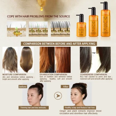 Mocheqi Hair Shampoo Nourishing Moisturizing Anti-Grease Anti-Loss Ginger Strengthening OEM/ODM Available Shampoo