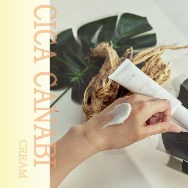 SKINLACTO 9Lab CACI Hemp CREAM _Sensitive skin, antioxidant, moisture retention, whitening/wrinkle