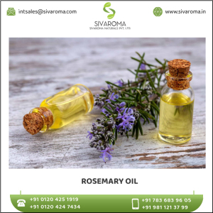 Superlative Quality  RoseMary Essential Oil in Bulk