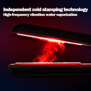 Ultrasonic Hair Straightener Professional Cold stamping Flat Iron Hair styling iron