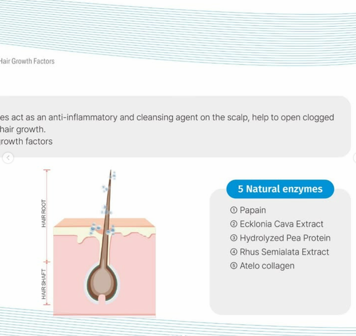 VELASH Exosomes + PDRN + Hair &amp; Scalp Growth Factors