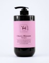 Premium Korean Perfumed Daily Shampoo - Cherry Blossom | Gentle Scalp Care Floral Formula