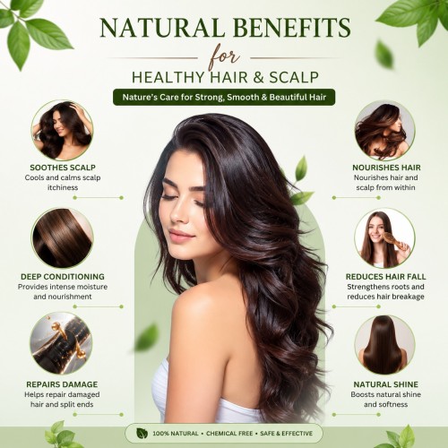 Super Quality Herbal Black Henna Hair Dye Powder
