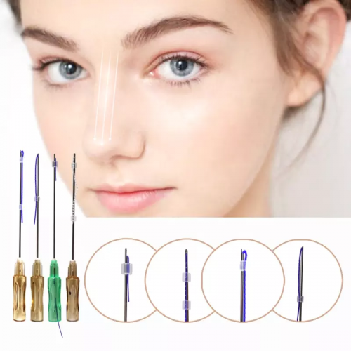 Low Price Pdo Lift Double Needle Blunt Tip Cannula Fish Bone Molding Cog Thread for Face Nose and Neck
