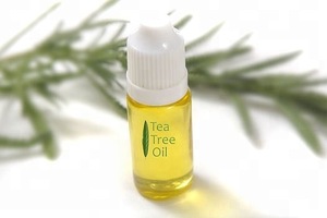 100% Natural Tea Tree essential Oil/Tea Tree Oil from BORG