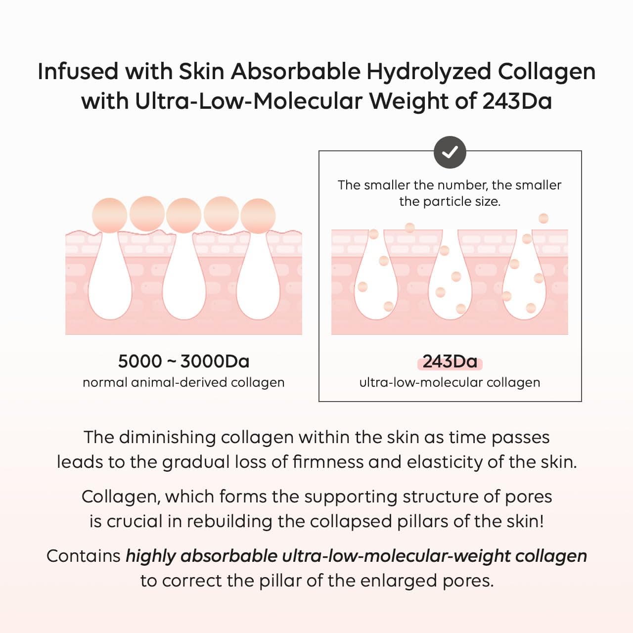 Biodance Pore Tightening Collagen Ampoule 50ml